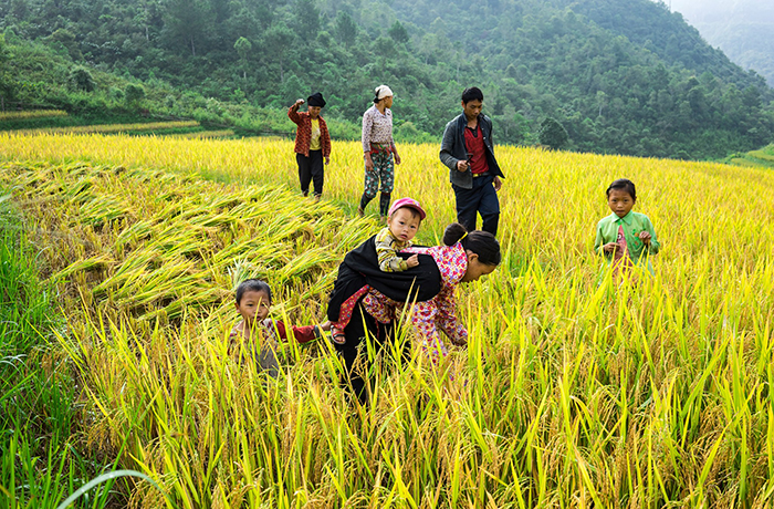 Adventurous Self-drive Northern Vietnam 4x4 Tour from Hanoi to Halong Bay - 12 Days