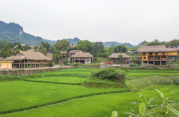 Mai Chau