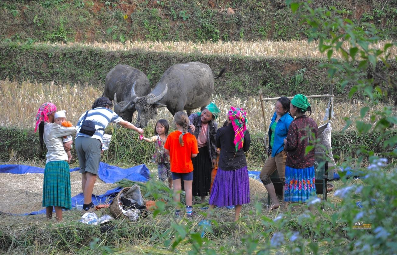 Medium trek: Ba Be National Park trekking & Caving 3 days