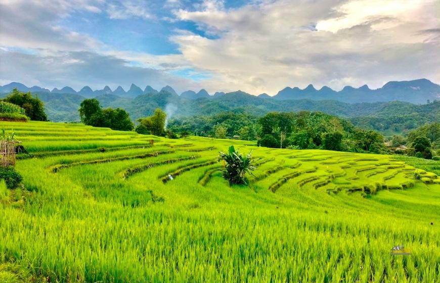 3-day Adventure to Mu Cang Chai Rice Fields