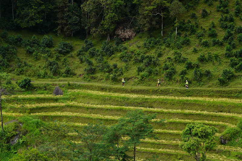 Trekking through Hoang Su Phi rice fields