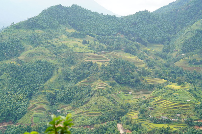 Trekking on Vietnam's hidden trails