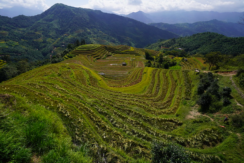 Trekking on Vietnam's hidden trails