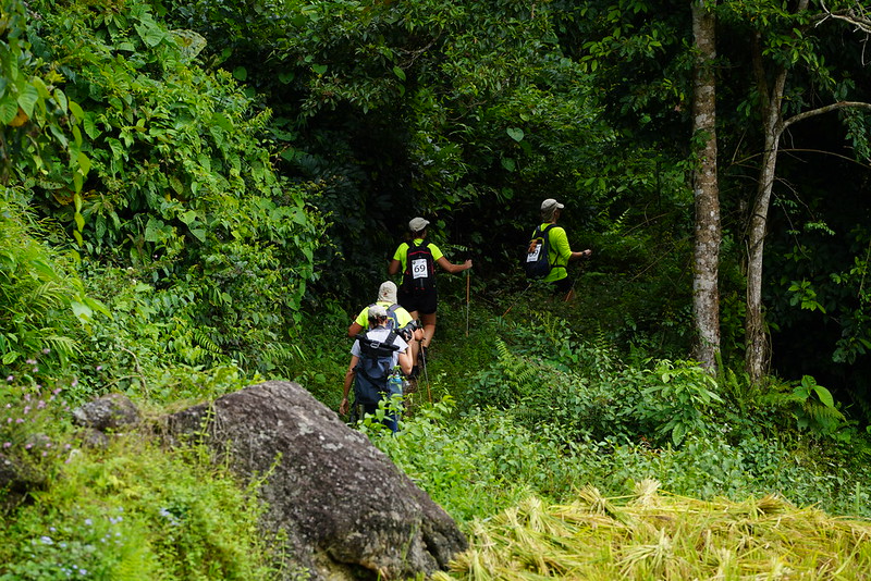 Trekking through Hoang Su Phi rice fields