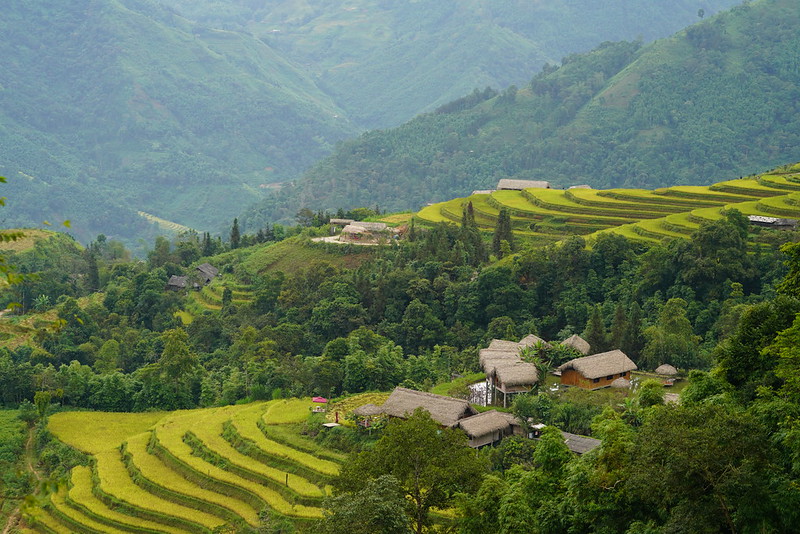 Trekking through Hoang Su Phi rice fields