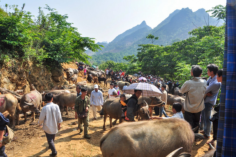 Trekking on Vietnam's hidden trails