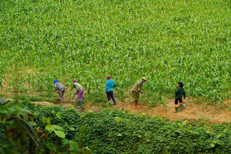 Trekking The Northern Trails of Vietnam