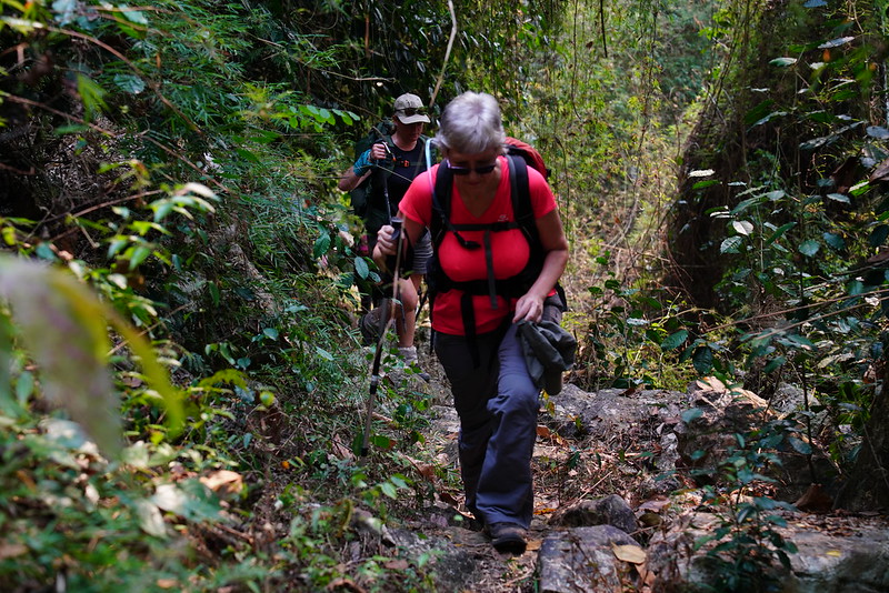 Trekking in Ba Be's Jungle