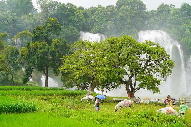 Trekking on Vietnam's hidden trails