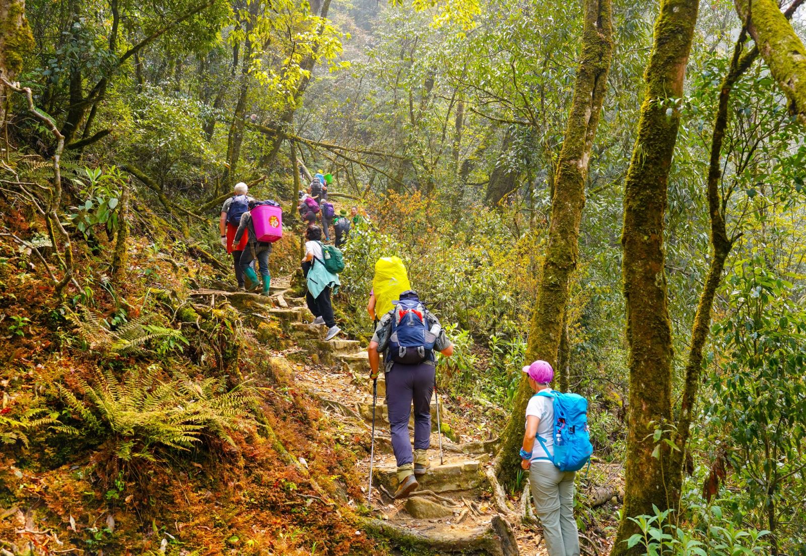 Climbing In Fansipan