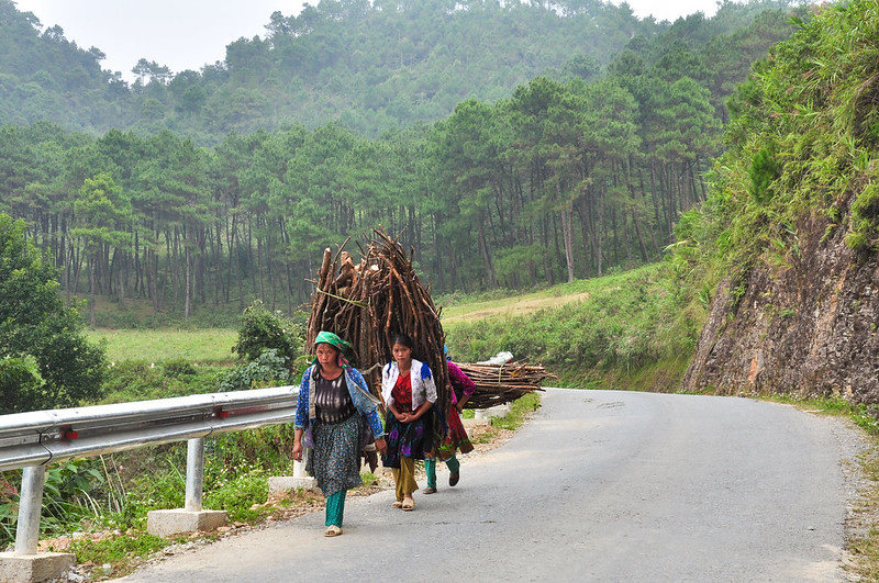 Trekking The Northern Trails of Vietnam