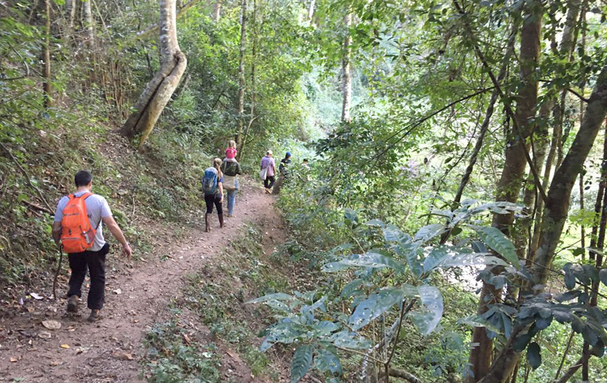 Thailand hilltribe trek 5 days