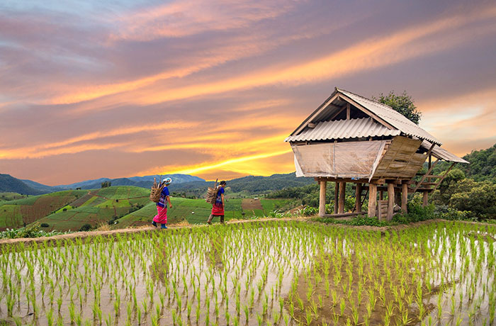 Thailand hilltribe trek 5 days 4 nights