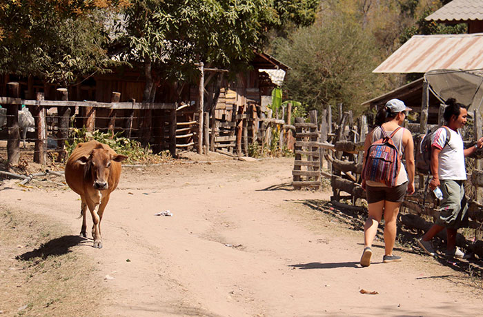 Lahu village