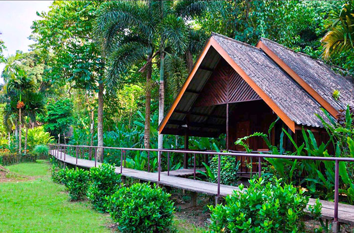 Tropical nature Thailand 10 days
