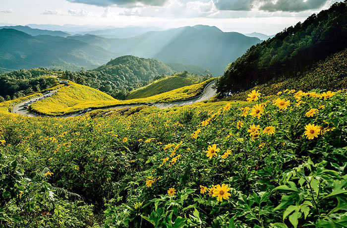 best of the north thailand