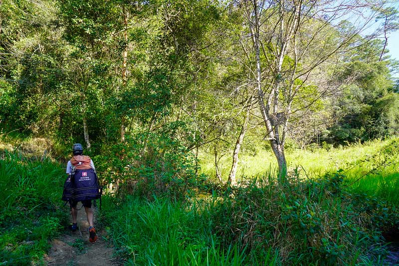 Jungle hike in the south of Dalat
