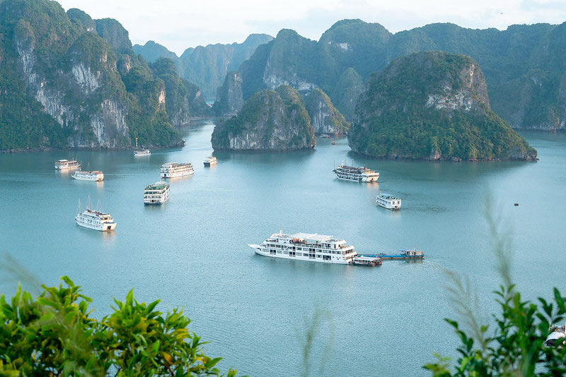 Halong Bay Day Tour