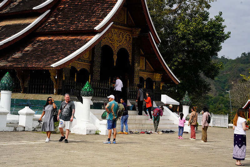 Angkor Discovery