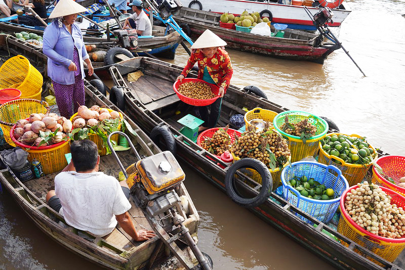 8 Days - Vietnam wonders with kids