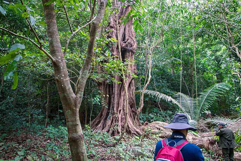 Cuc Phuong - Ninh Binh Wild Adventure 3 days 2 nights