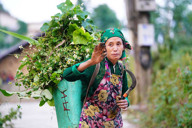 Explorer des sentiers de montagne au Vietnam 8 jours 7 nuits