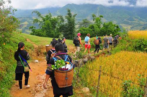 Sapa, 2 jours et 3 nuits