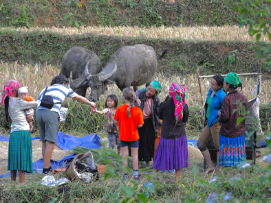 Medium trek: Ba Be National Park trekking & Caving 3 days