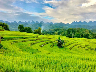 3-day Adventure to Mu Cang Chai Rice Fields