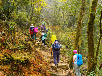 Fansipan Summit - Sapa