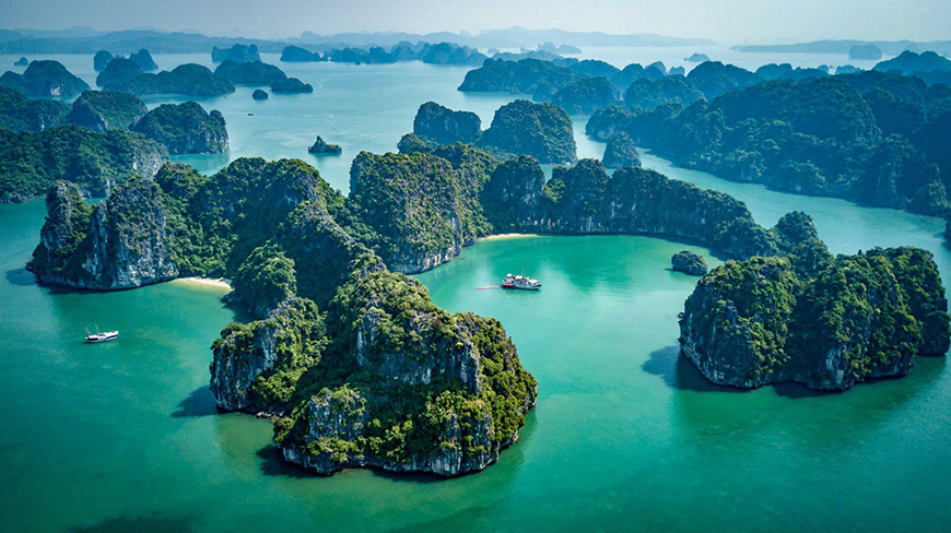 bai-tu-long