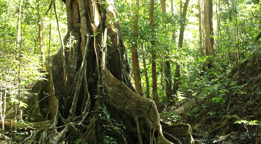 kon-ka-kinh