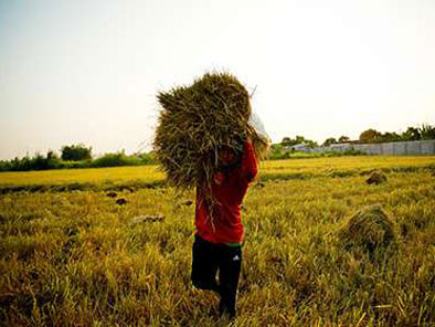 Adventure in Mekong Delta