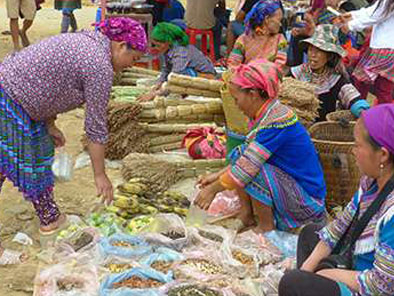 Bac Ha Market