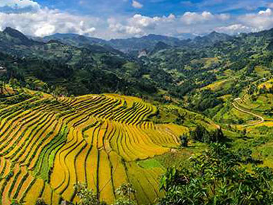 Bac Ha valley