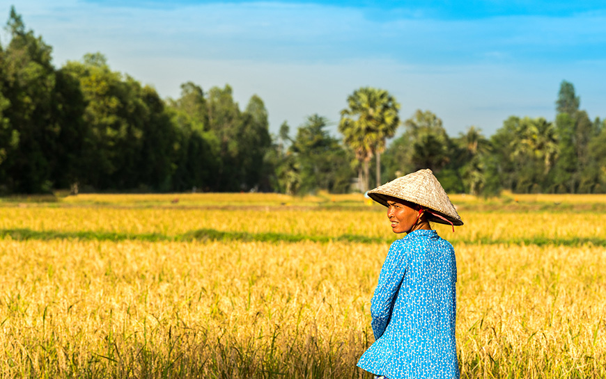 When to travel to Vietnam?