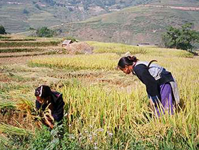 Black-Hmong-ethnic-people