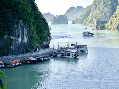 Calypso Cruise - Halong Bay