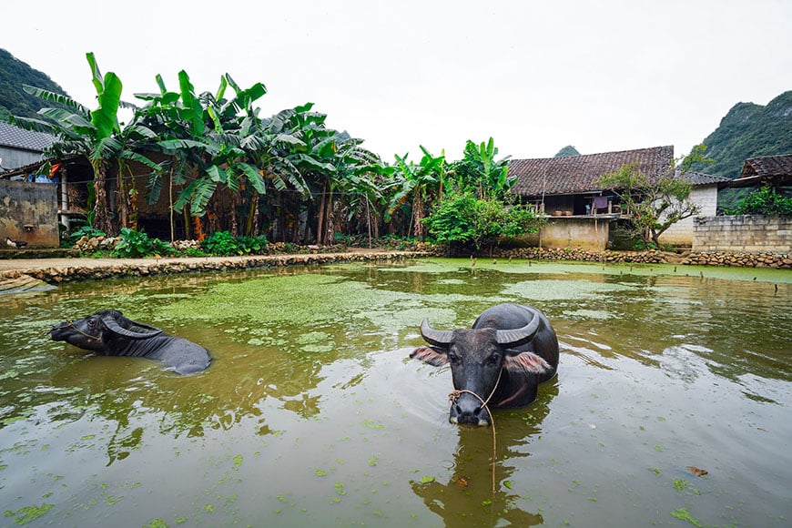 Local Life in Cao Bang cao-bang
