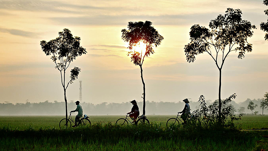 mekong-delta