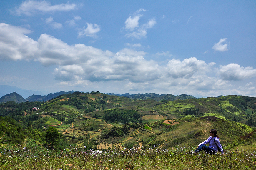 sapa