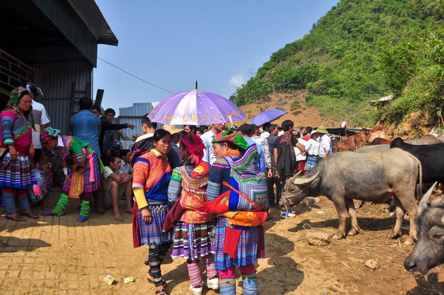 local-market