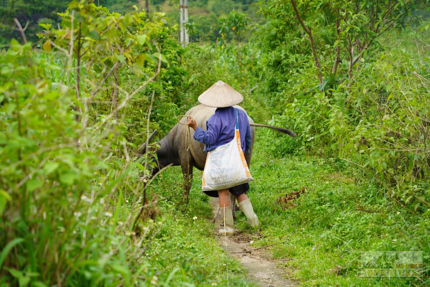 rural-life
