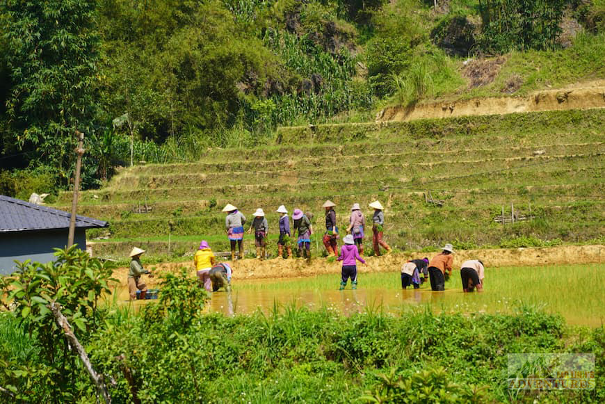 farmers