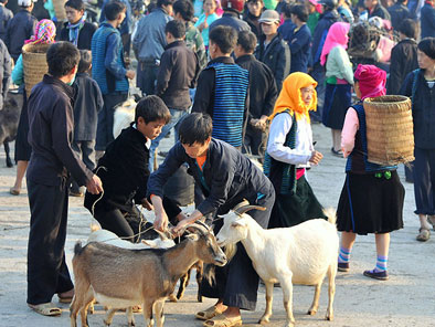 Discover Hagiang