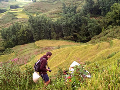 Sapa trekking