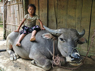 Giang Ta Chai Village