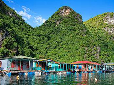 Fishing Village at Ha Long Bay