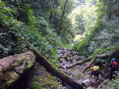Ngoc Linh National Park