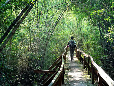 Cat Tien National Park